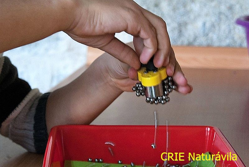 Convivencia 6 en el CRIE Naturávila Grupo de alumnos con autorización en el CRIE Naturávila, convivencia 6