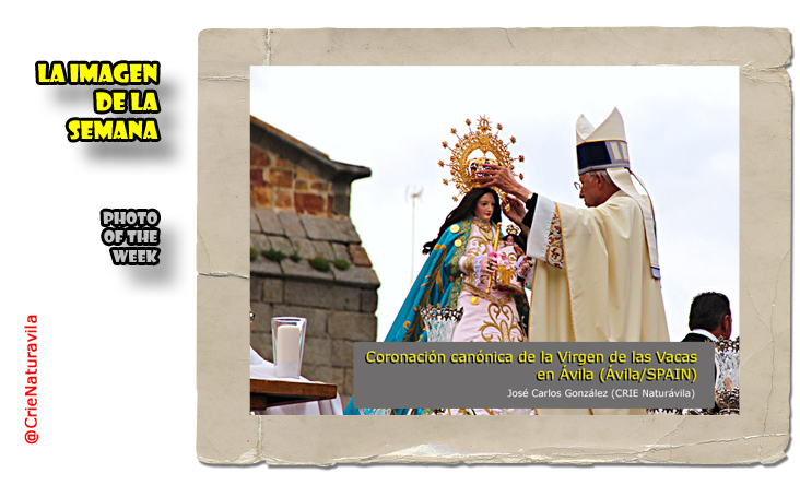 Coronación canónica de la Virgen de las Vacas en Ávila