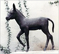 Platero