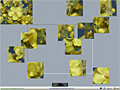 puzzles
